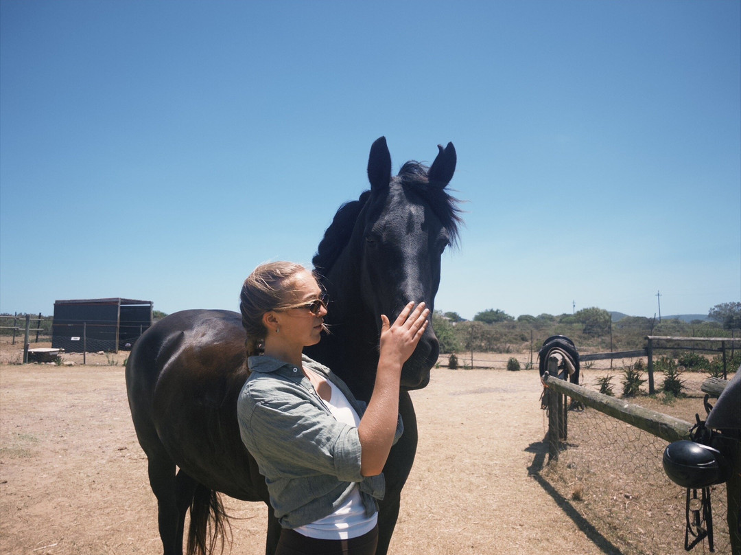 Adventure Horse Safari's-莫塞尔贝必去景点