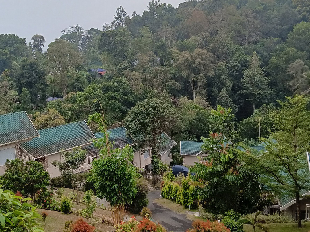 Aveda Mountains And Mist - Munnar主图