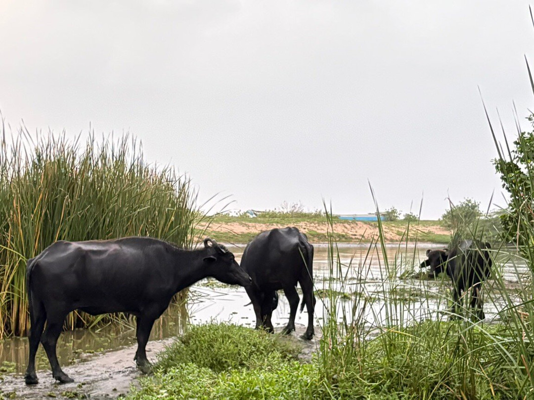 Wildlife Wonders Sri Lanka-唐卡拉必去景点