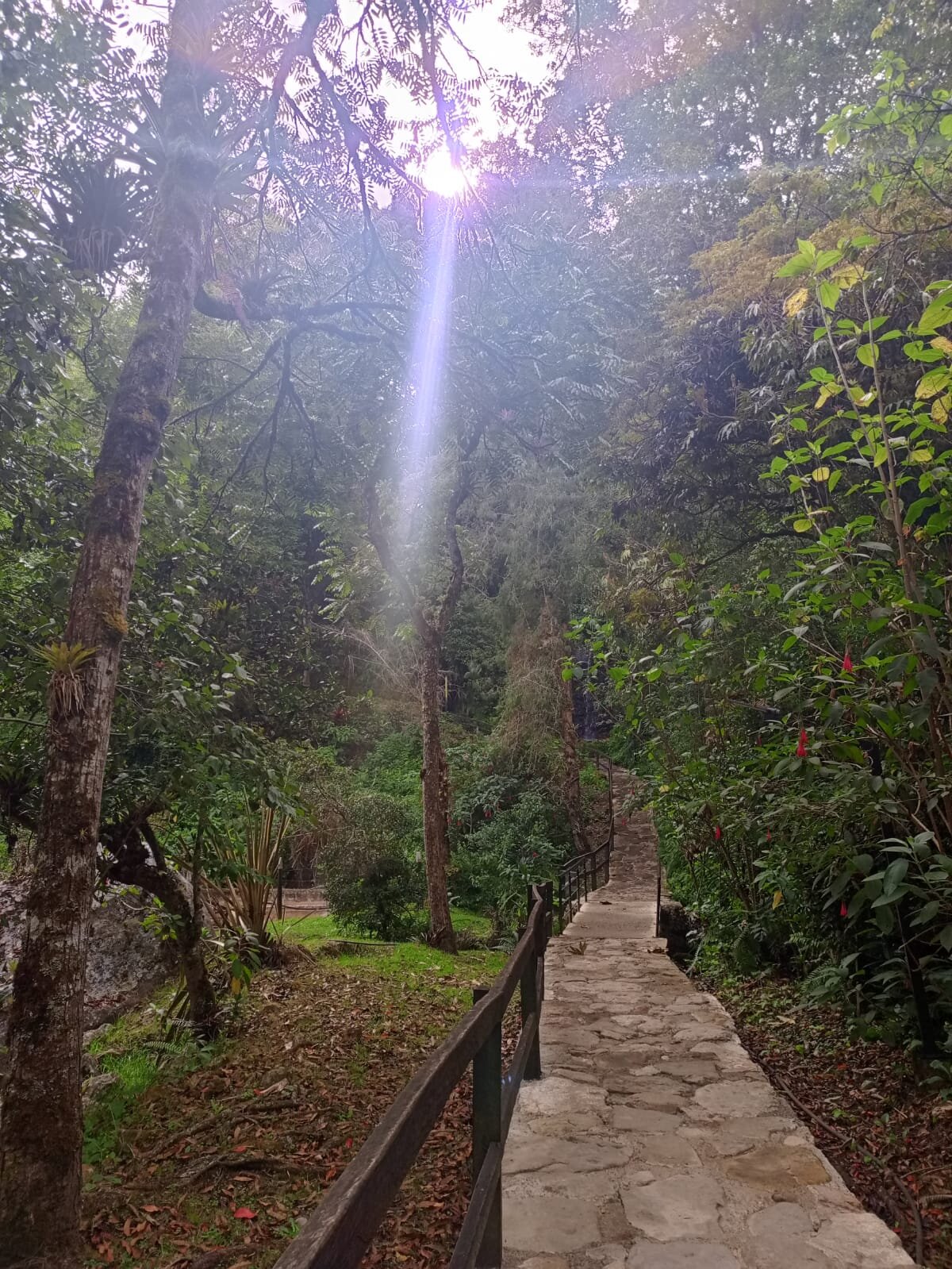 Termales Los Volcanes-官方