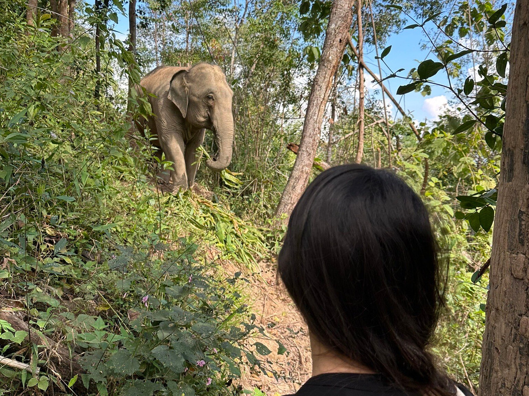 Chang Chill-Mae Win必去景点