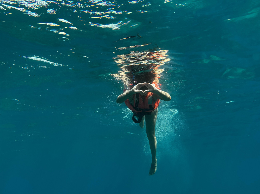 Cabo Adventures - Luxury Sailing Adventure-卡波圣卢卡斯必去景点