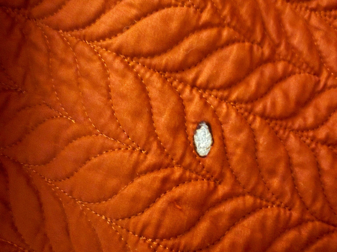 The Columbia Inn At Peralynna主图