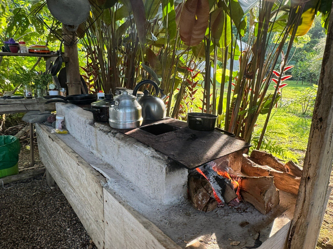 Selva Connections-希门尼斯港必去景点