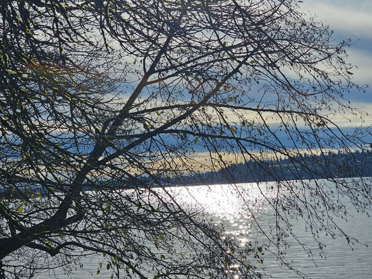 St edward state park-Kenmore必去景点