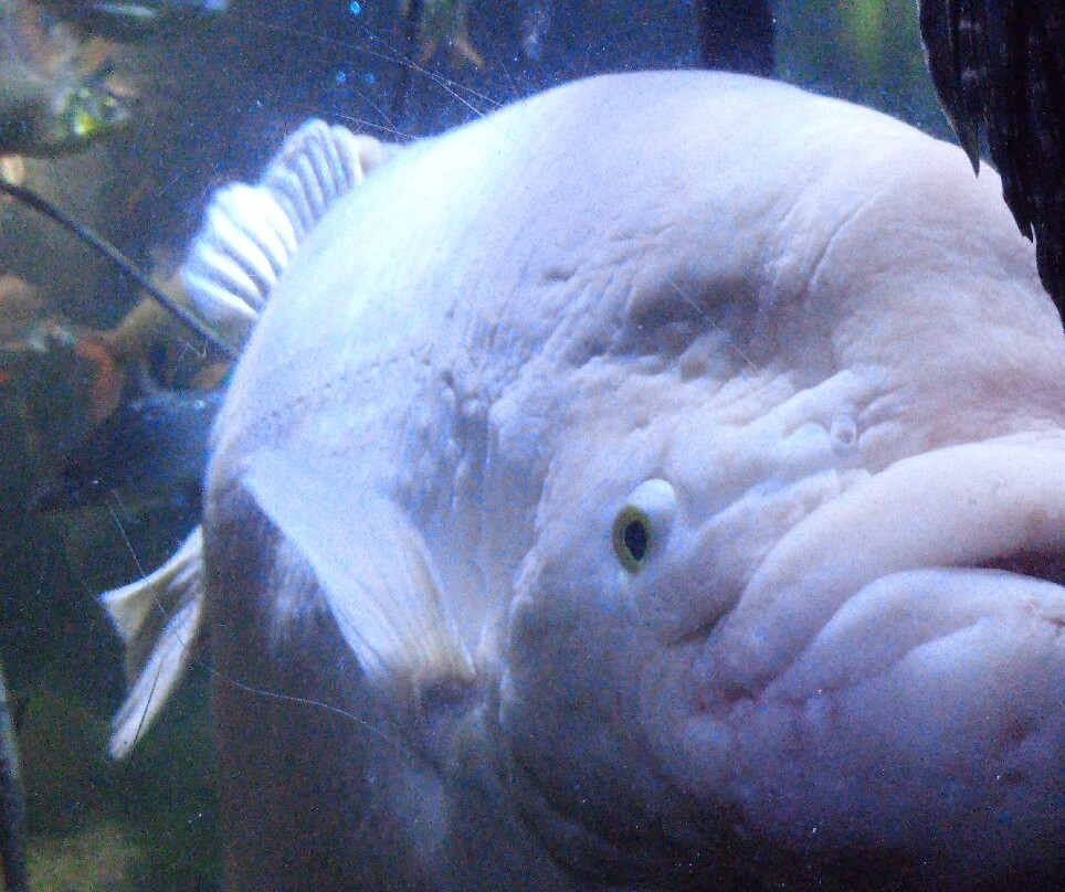 Weymouth SEA LIFE Adventure Park-韦茅斯必去景点