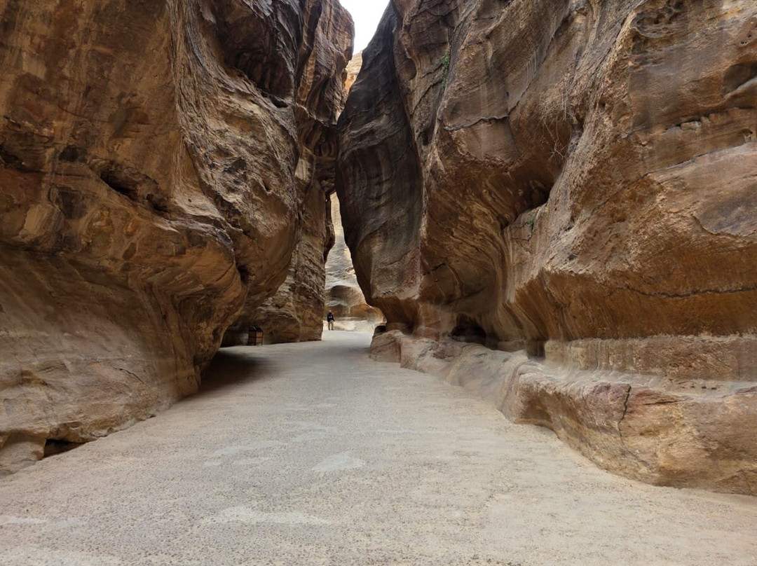 Jordan Direct Tours-安曼必去景点