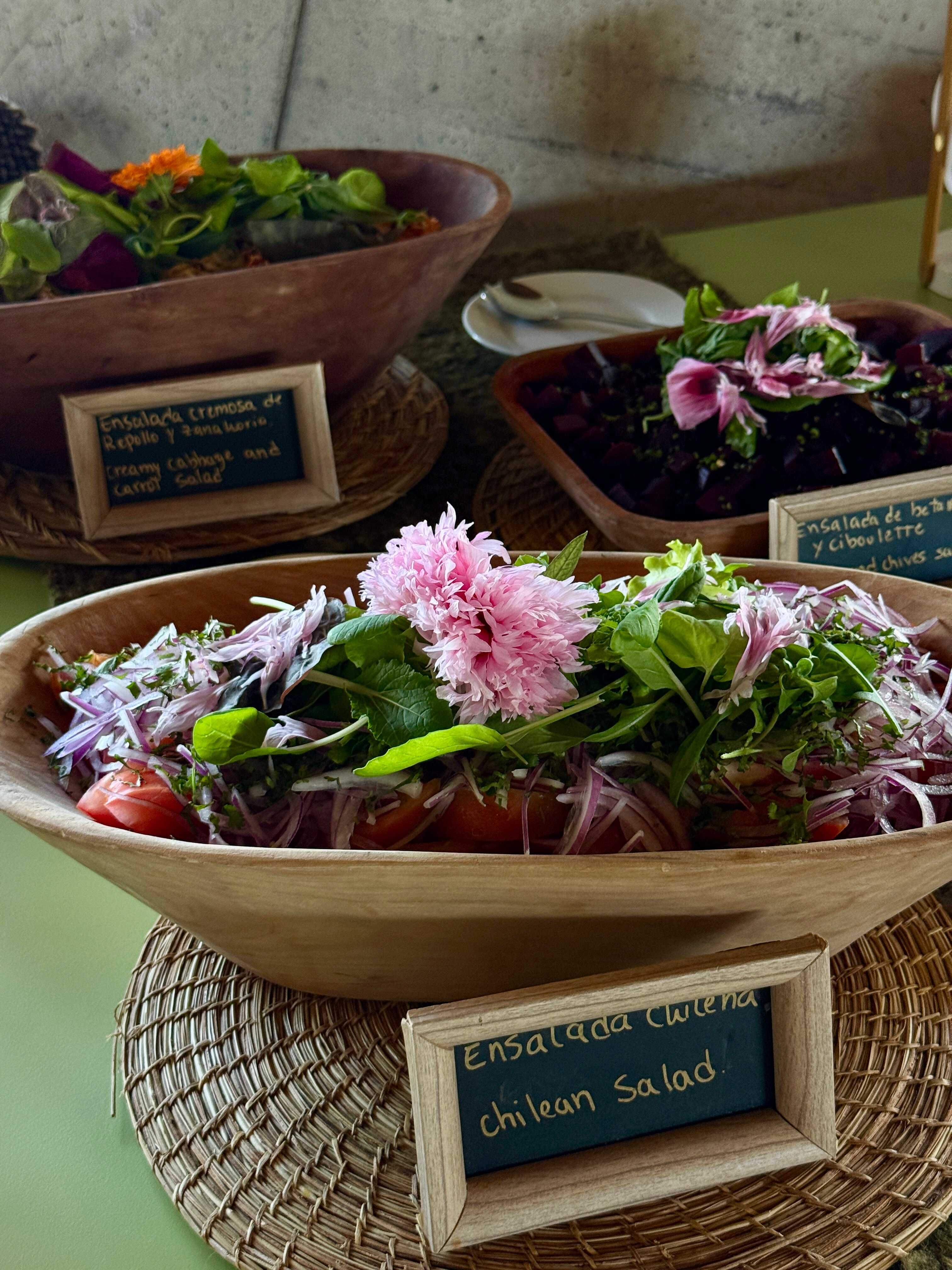 Refugia Chiloé-官方