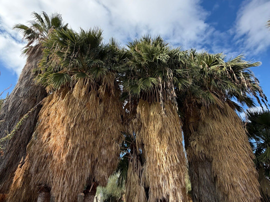 El Dorado Hot Springs-Tonopah必去景点