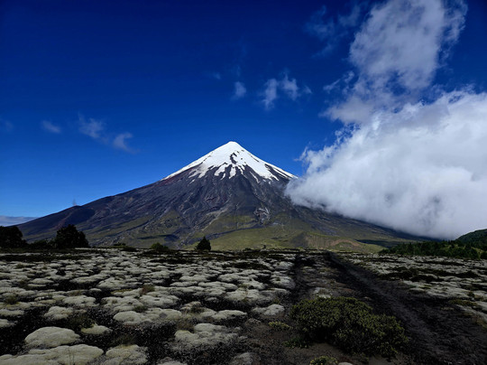 Mapu Activa-巴拉斯港必去景点