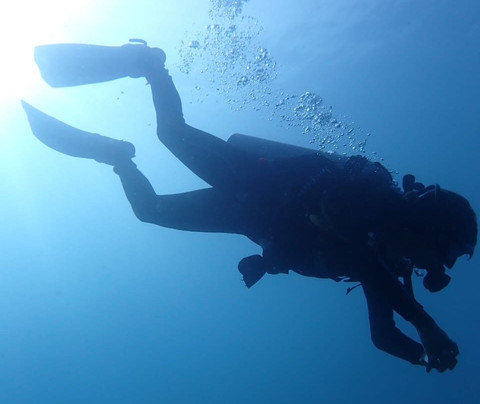 Pacific Divers-葡多咖蕾拉必去景点