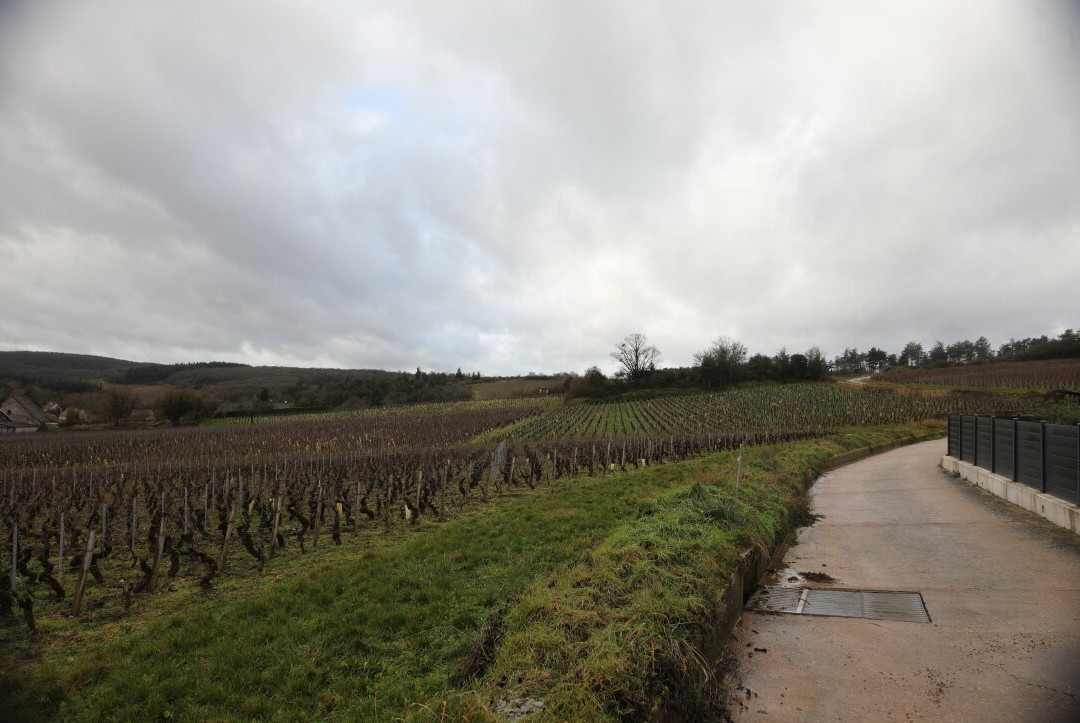 Domaine Philippe Et Fabienne Menand-Mercurey必去景点