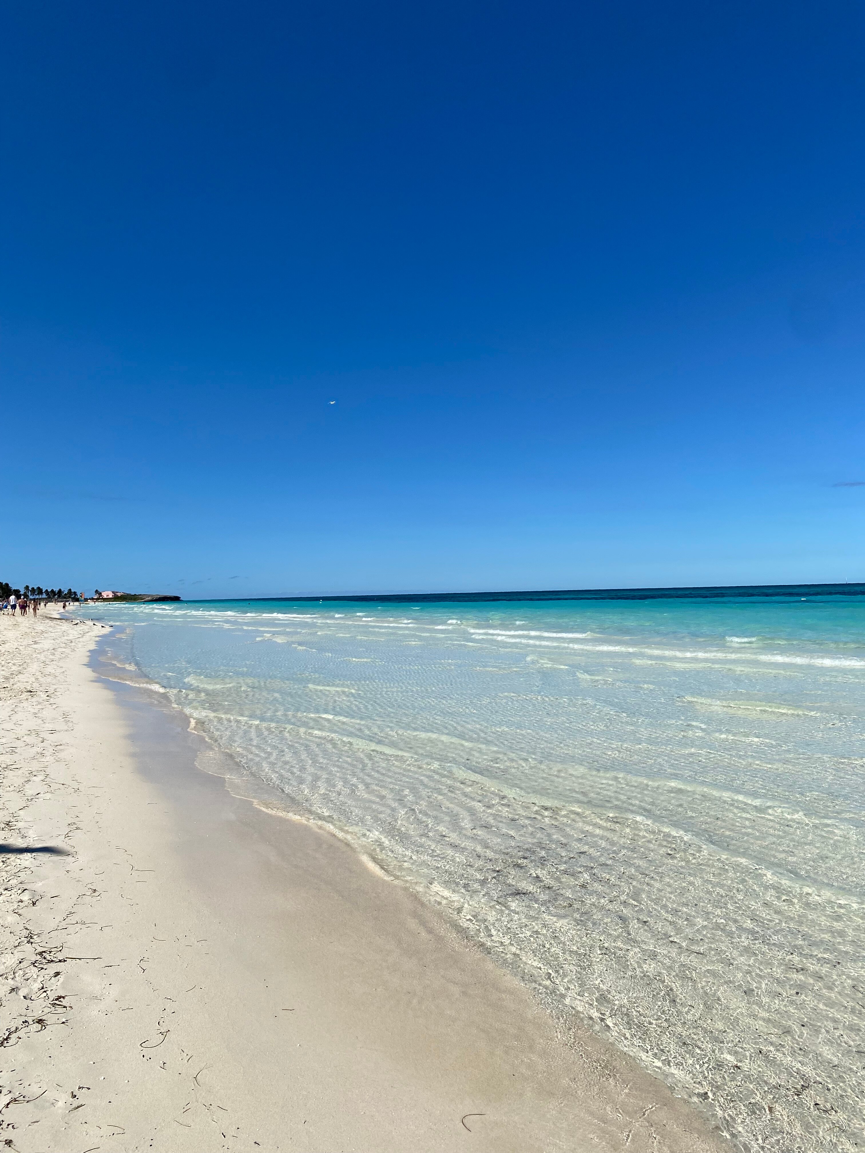 Melia Costa Rey-泳池