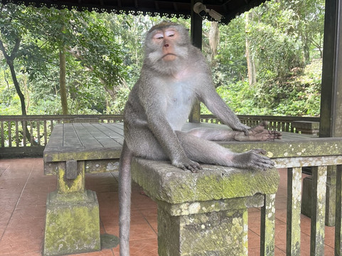 BB Tour-乌布必去景点