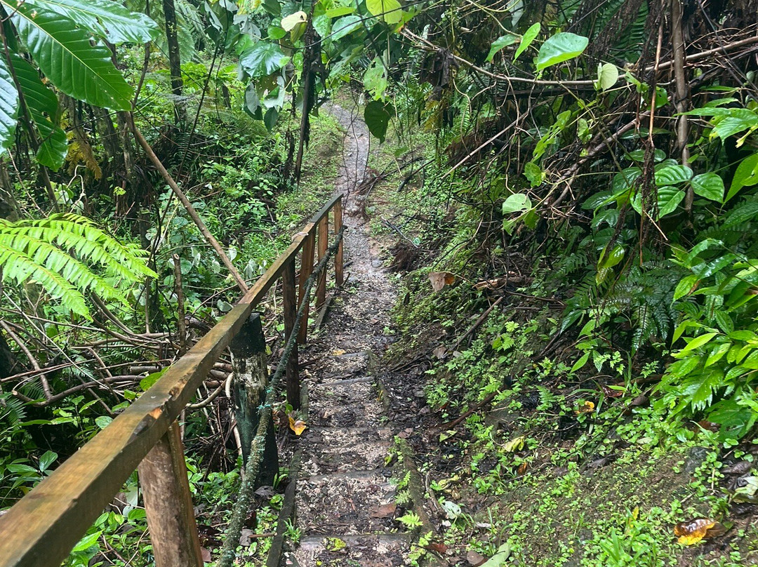Lavena Coastal Walk-塔韦乌尼岛必去景点