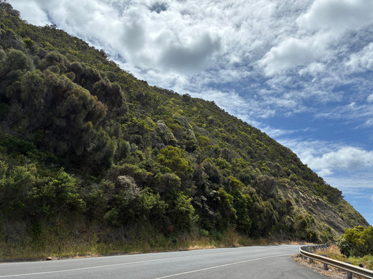Cape Patton Lookout Point-坎尼特河必去景点