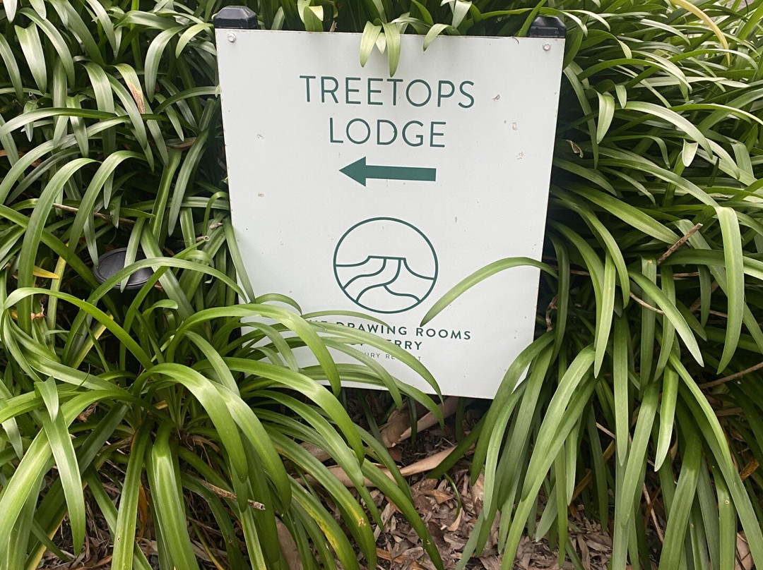 The Drawing Rooms of Berry主图