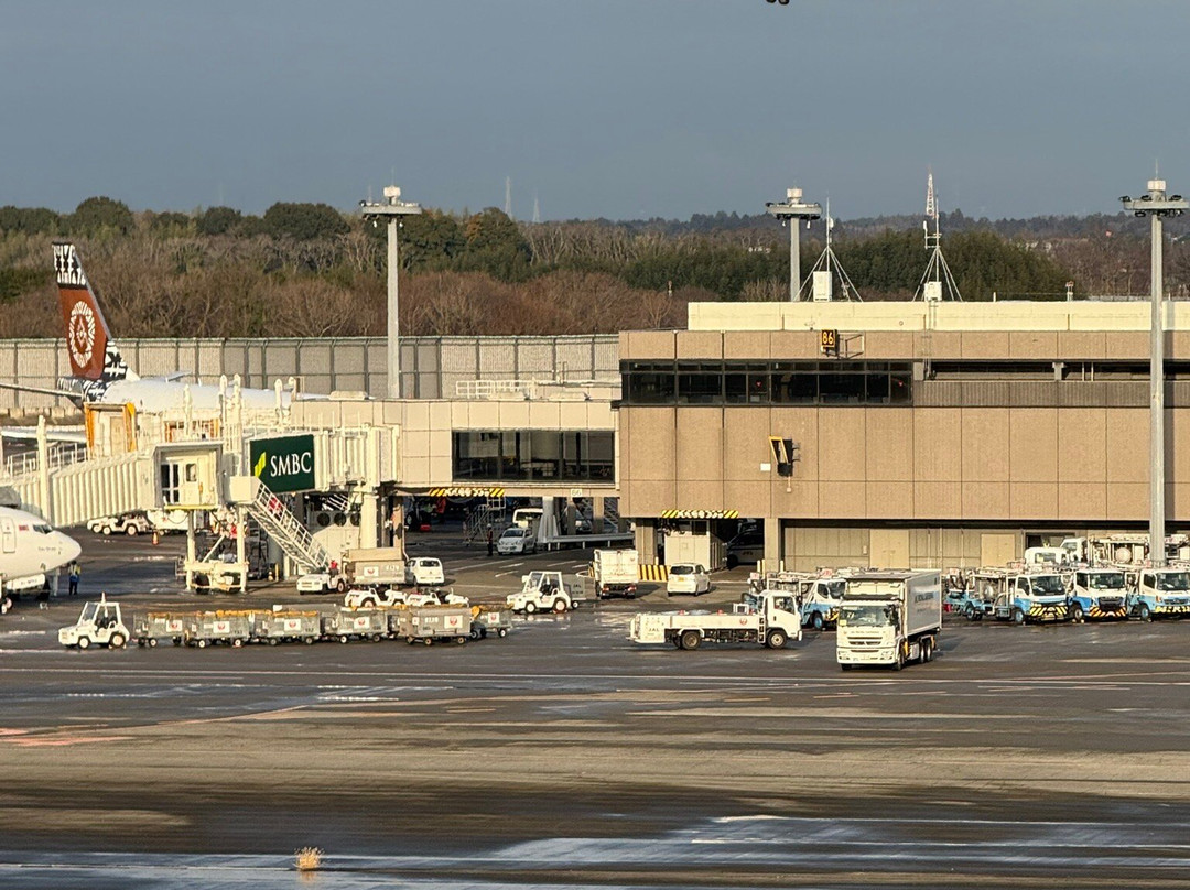 Observation Deck at Narita Airport Terminal 2-成田市必去景点