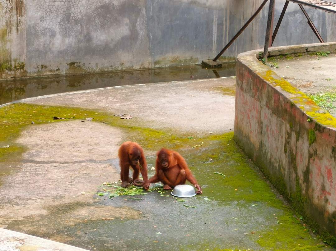 Assam State Zoo-古瓦哈提必去景点