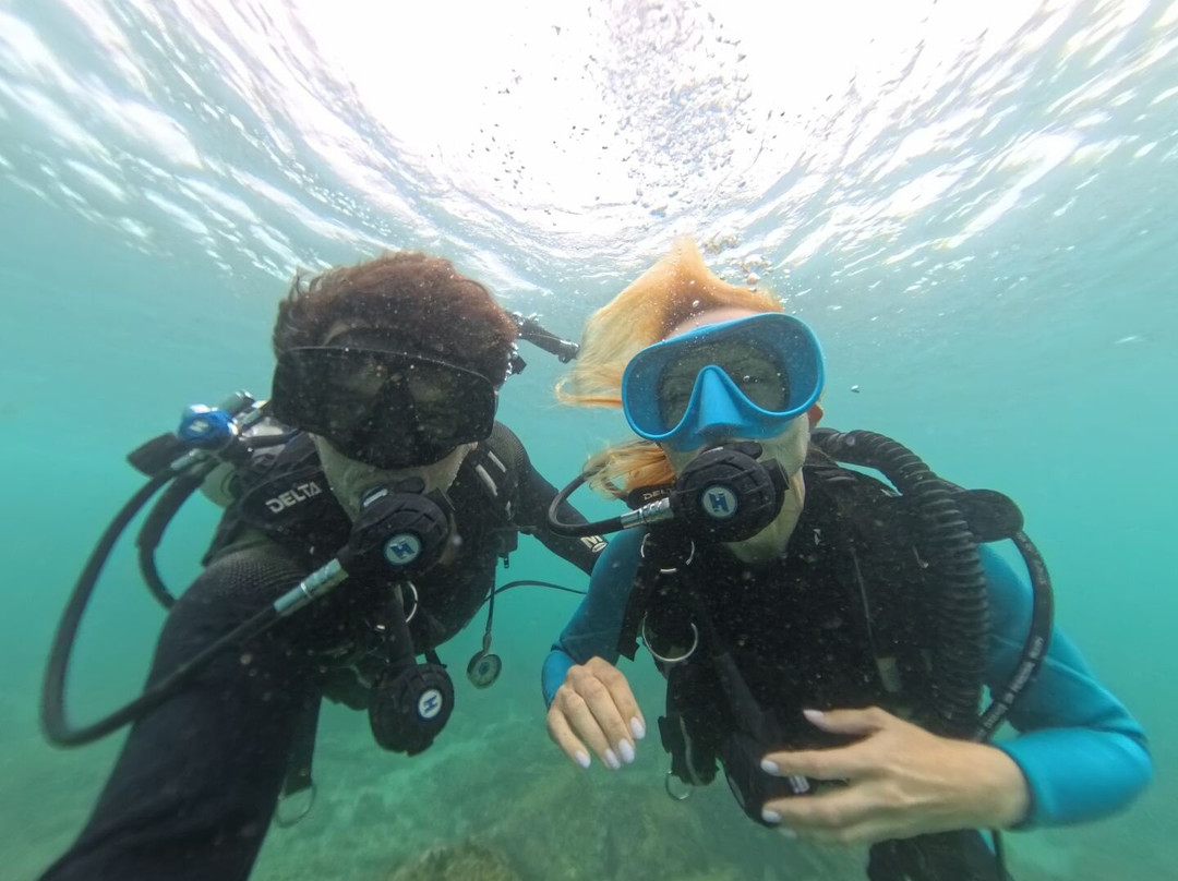 Reef Oasis Diving Center | Fujairah-Al Aqah必去景点