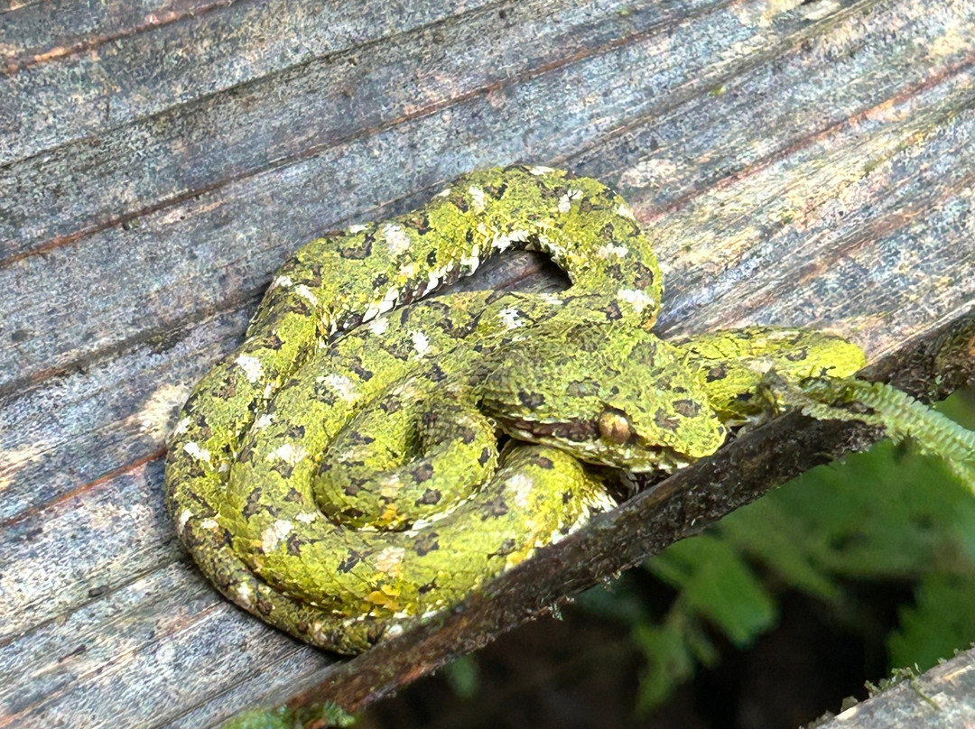 NexusTours-圣何塞必去景点