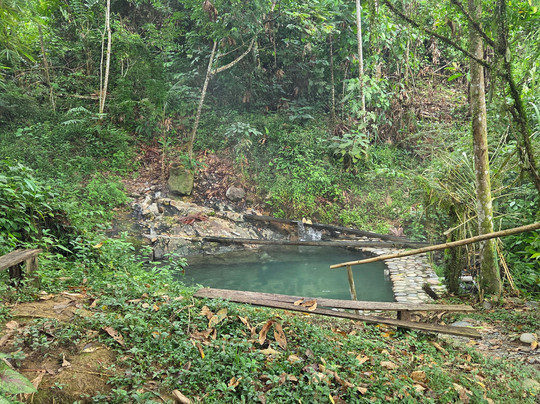 Peru Amazon Expeditions-Manu必去景点
