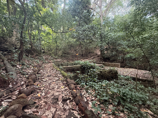 Taboga Express Fast Ferry-巴拿马城必去景点