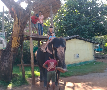 Raj Lanka Tours Nouraj-康提必去景点