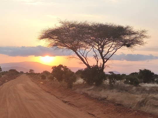 Rema Viaggi Kenya-瓦塔木必去景点