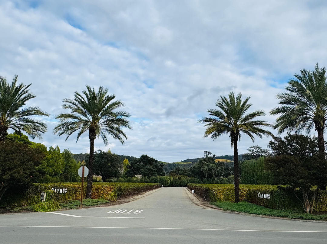 Caymus Vineyards-拉瑟福德必去景点