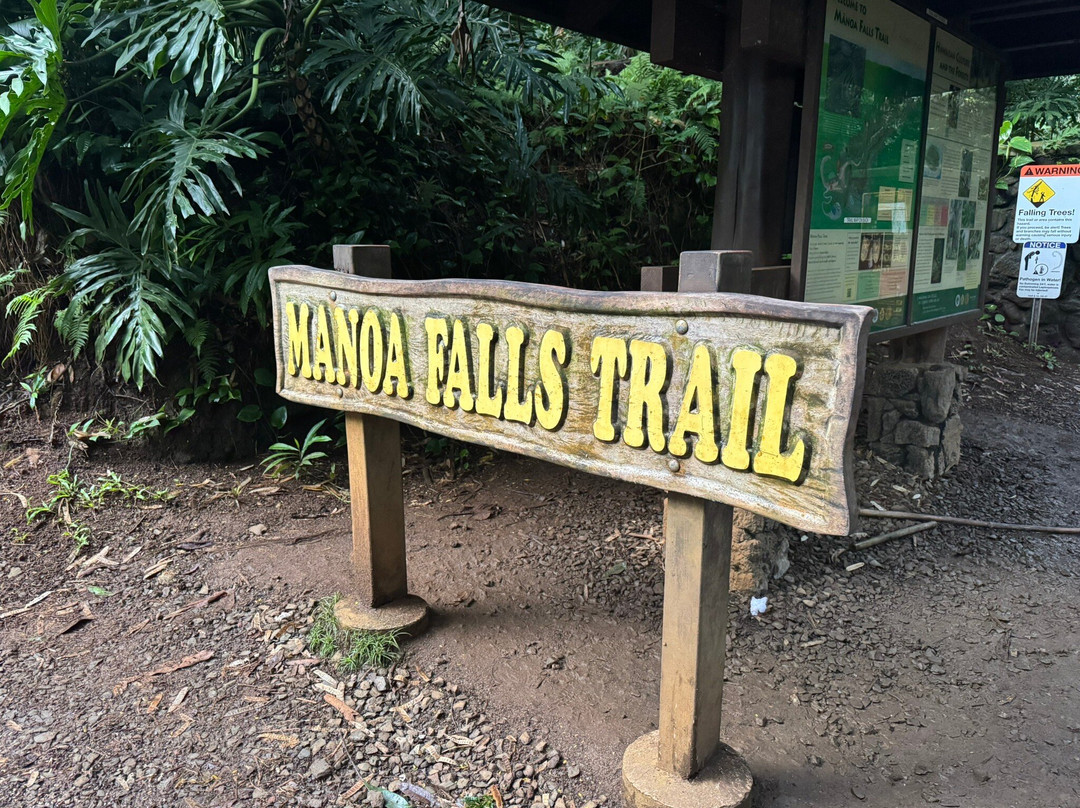 火奴鲁鲁旅游景点-玛诺亚瀑布