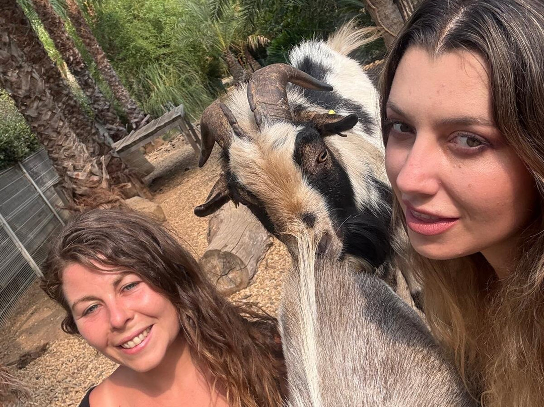 Les Animaux De Fairytale-Cap-d'Agde必去景点