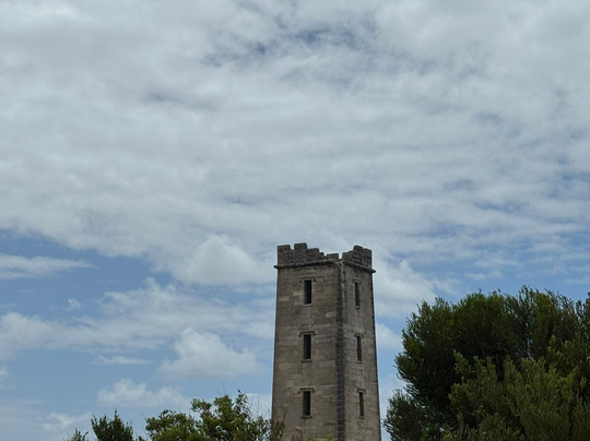 Ben Boyd Tower-伊登港必去景点
