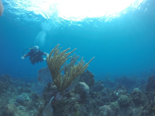 UnderwaterCuba-巴拉德罗必去景点