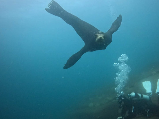 Blue Nation-洛雷托必去景点