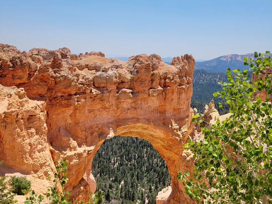 Natural Bridge-布莱斯必去景点