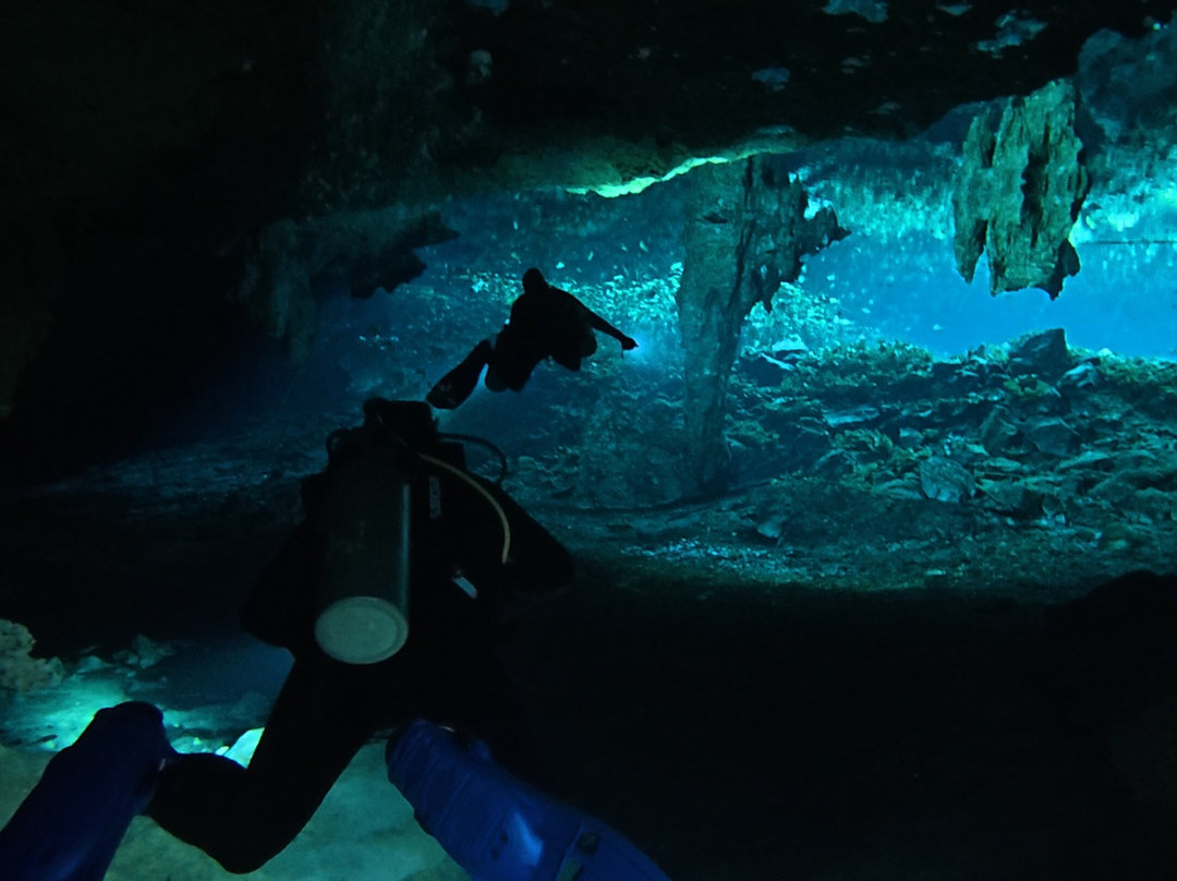 Pura Vida Diving-普拉亚德尔卡曼必去景点
