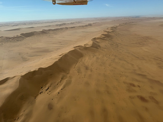 Bush Bird - Sossusfly-斯瓦科普蒙德必去景点