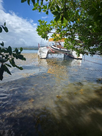 Catamaran Bwa Drese-Le Robert必去景点