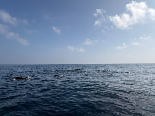 Nathalia Cruise-美蕊沙必去景点