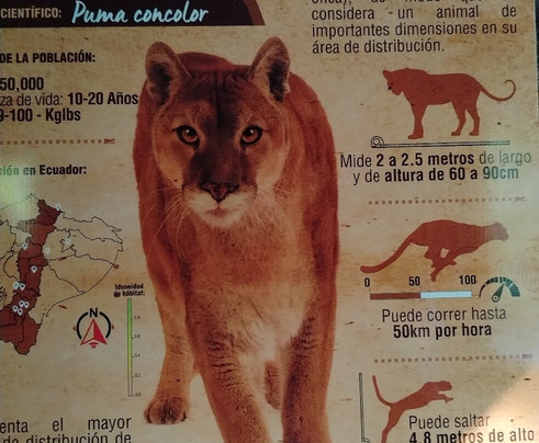 BioParque Yanacocha-Puyo必去景点