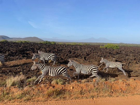 Johari Africa Adventures-迪亚尼必去景点