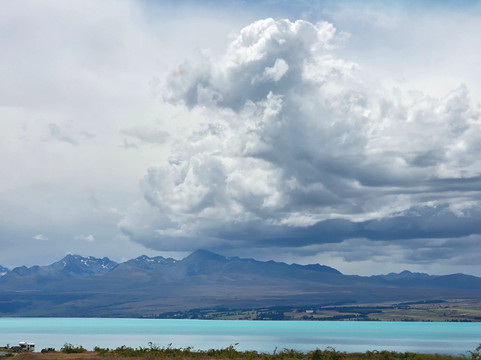 Stray-奥克兰中心地区必去景点