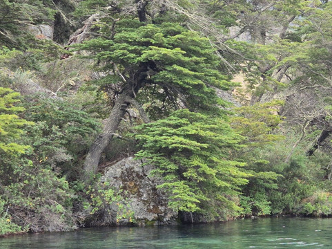 Paseos Náuticos Cochrane-Cochrane必去景点