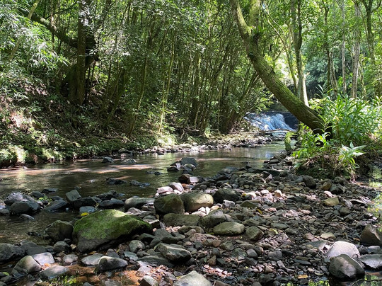 Ecoparque Sperry-卡内拉必去景点
