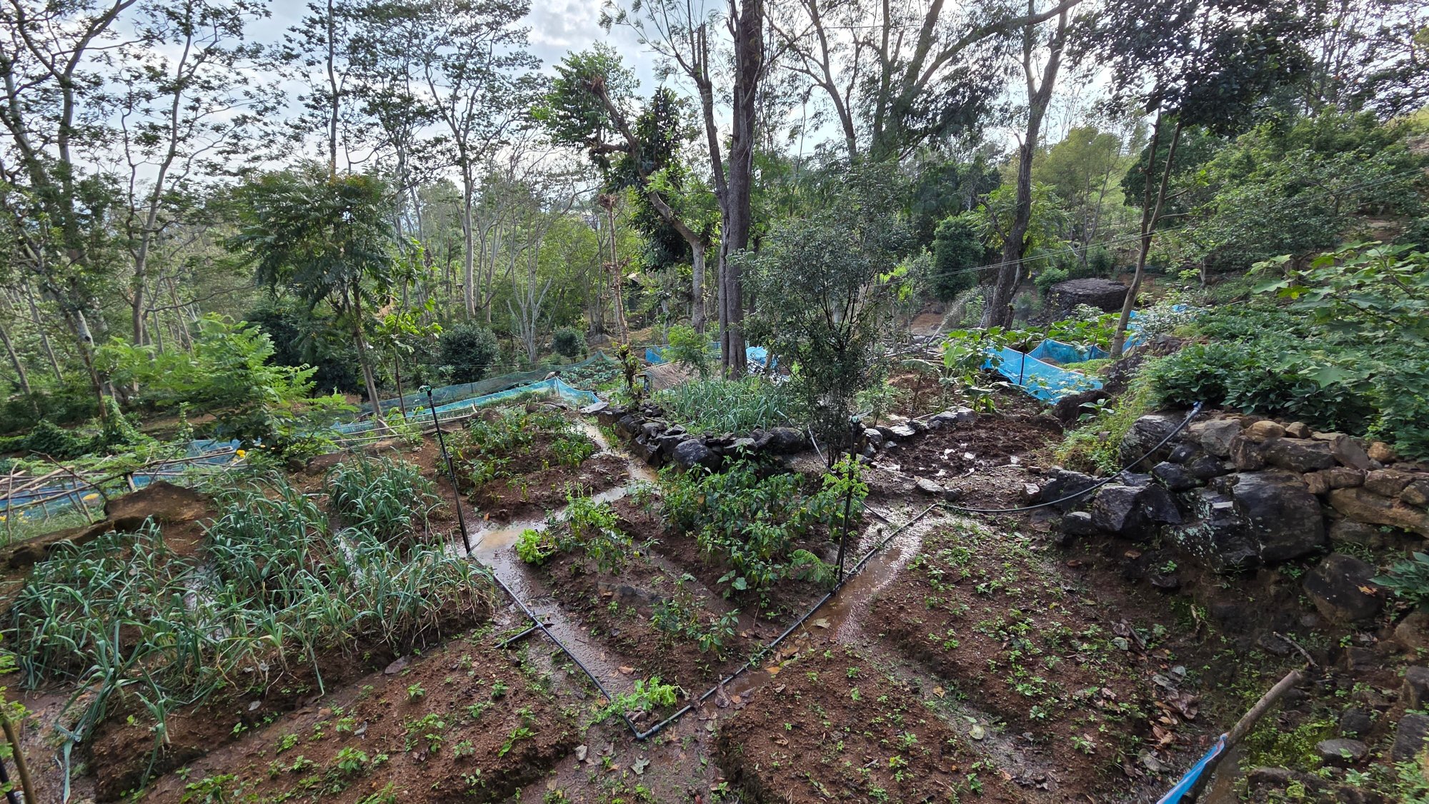 梅尔海姆度假酒店-官方