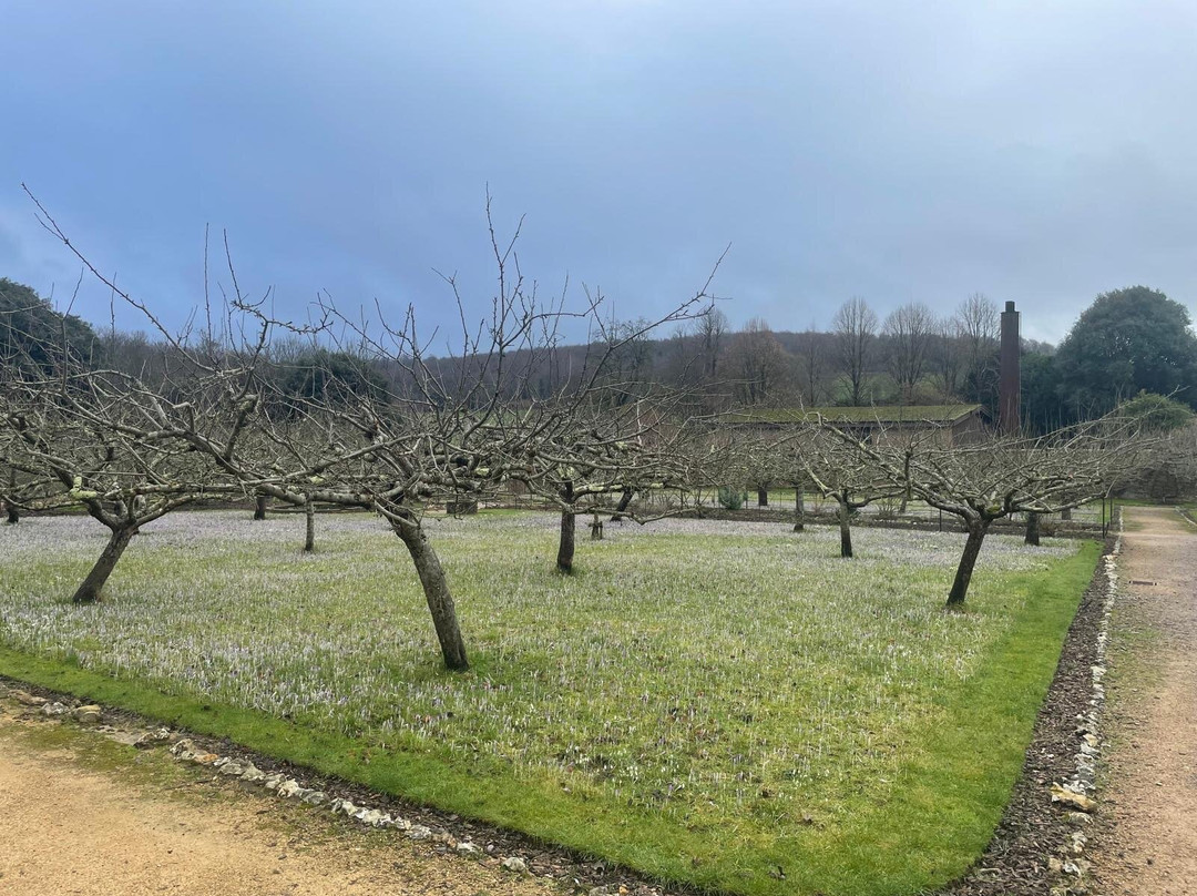 West Dean Gardens-奇切斯特必去景点