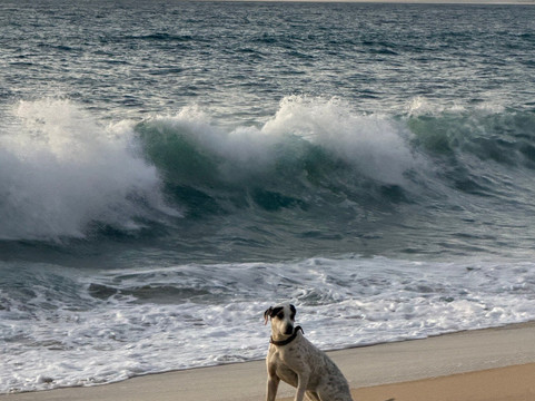 Punta Lobos-托多斯桑托斯必去景点