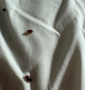 St. Francis Winery主图