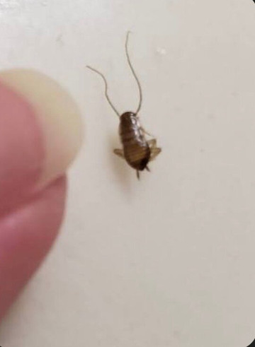 湖岸农场旅馆主图